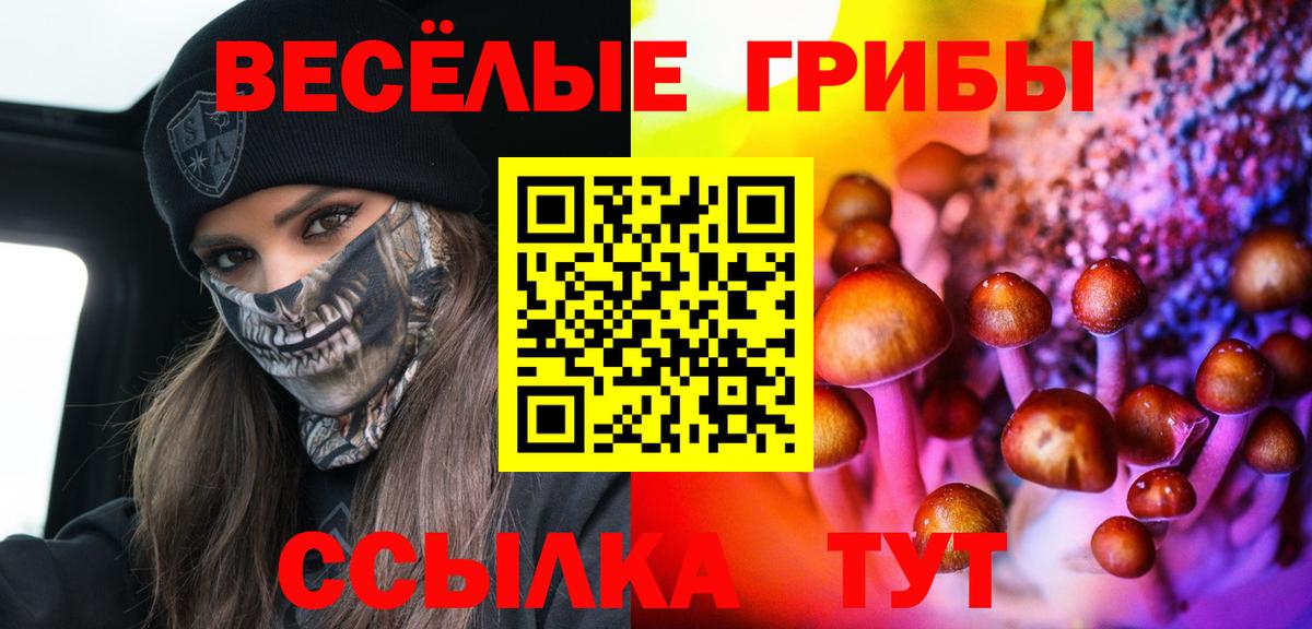 Галлюциногенные грибы мухоморы Сегежа